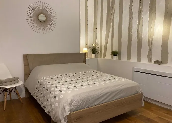 Studio N 2 Cosy Hypercentre, Rue Saint Nicolas